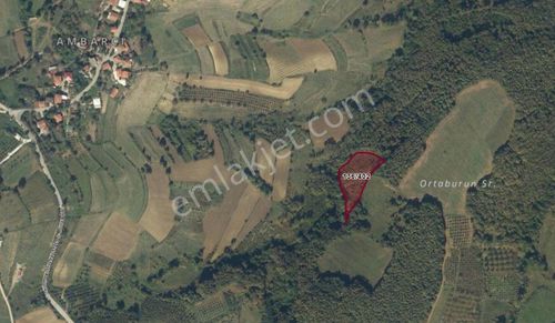 Arsa-Tarla