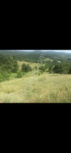 Arsa-Tarla