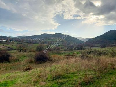 Arsa-Tarla