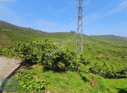 Arsa-Bağ & Bahçe