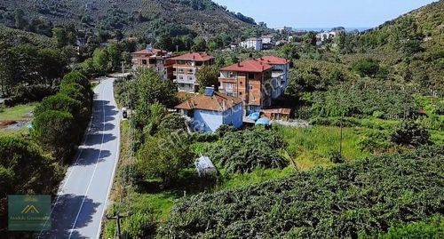 Arsa-Konut İmarlı