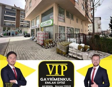 İşyeri-Dükkan & Mağaza
