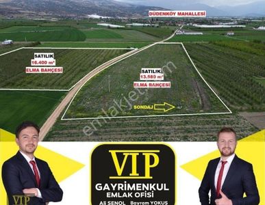 Arsa-Bağ & Bahçe