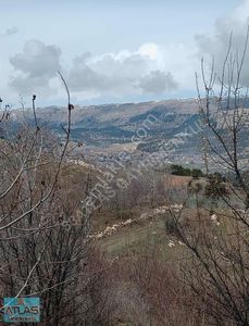 Arsa-Bağ & Bahçe