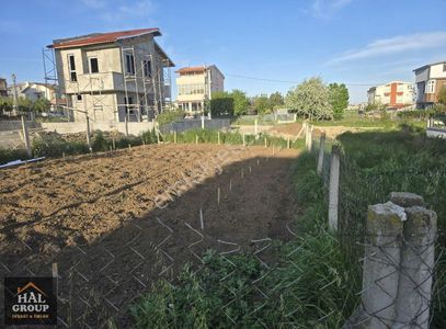 Arsa-Konut İmarlı