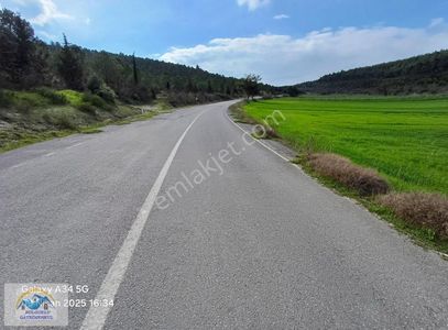 Arsa-Tarla