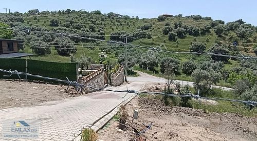 Arsa-Bağ & Bahçe