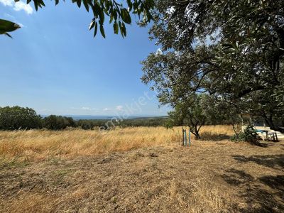 Arsa-Tarla
