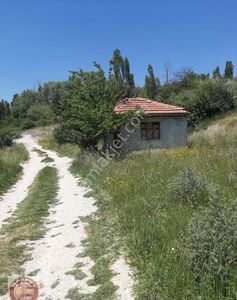 Arsa-Bağ & Bahçe