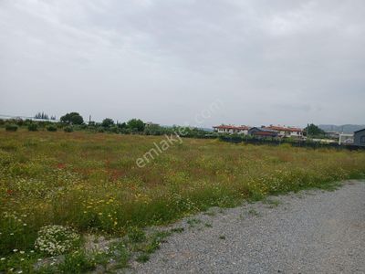 Arsa-Bağ & Bahçe