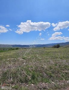 Arsa-Tarla