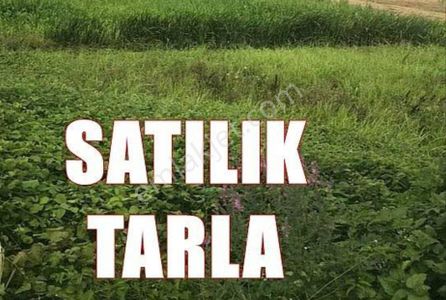 Arsa-Tarla