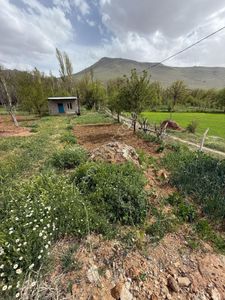Arsa-Bağ & Bahçe