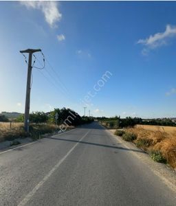Arsa-Tarla