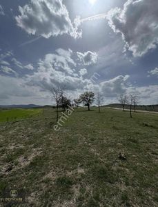 Arsa-Tarla