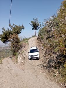 Arsa-Bağ & Bahçe
