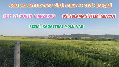 Arsa-Bağ & Bahçe