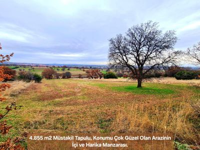 Arsa-Tarla