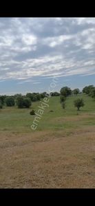 Arsa-Tarla