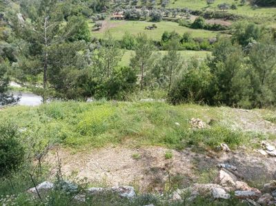 Arsa-Tarla