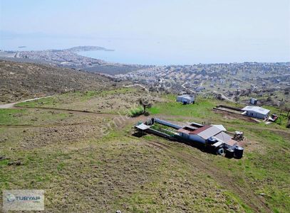 Arsa-Villa İmarlı
