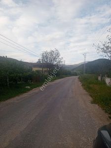 Arsa-Bağ & Bahçe