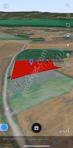 Arsa-Tarla