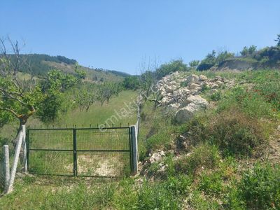 Arsa-Tarla