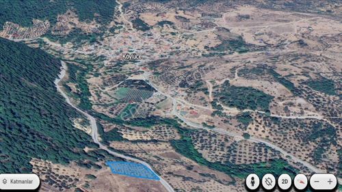 Arsa-Zeytinlik