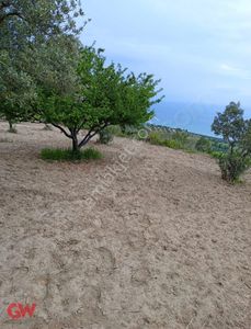 Arsa-Tarla