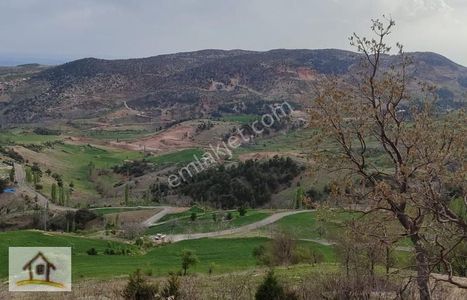 Arsa-Bağ & Bahçe
