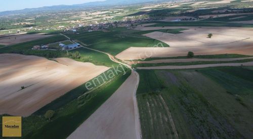 Arsa-Tarla