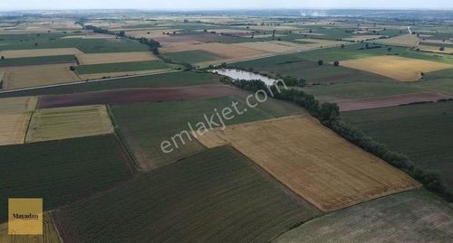 Arsa-Tarla