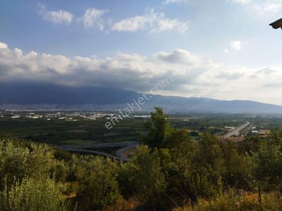 Arsa-Bağ & Bahçe