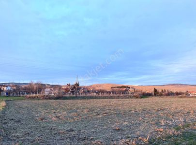 Arsa-Tarla
