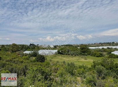 Arsa-Villa İmarlı