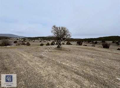 Arsa-Tarla
