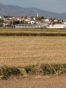 Arsa-Tarla