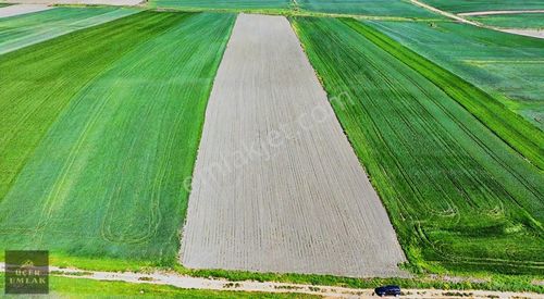 Arsa-Tarla