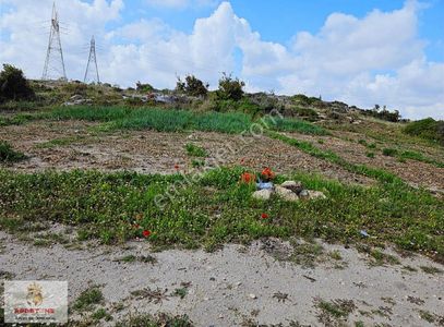 Arsa-Konut İmarlı