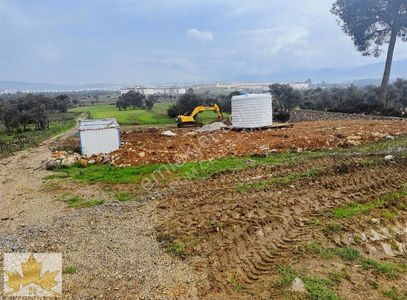 Arsa-Villa İmarlı