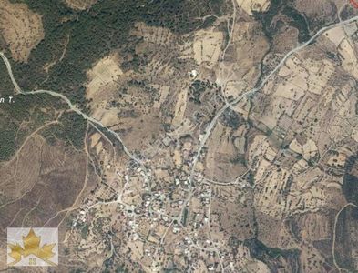 Arsa-Zeytinlik