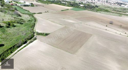 Arsa-Tarla