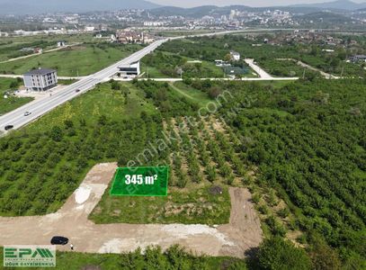 Arsa-Konut İmarlı