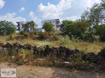 Arsa-Konut İmarlı