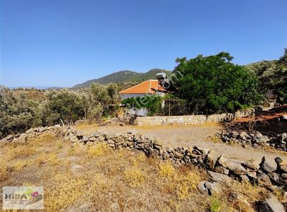 Arsa-Konut İmarlı