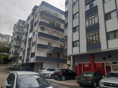 Konut-Dağ Evi