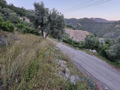 Arsa-Villa İmarlı