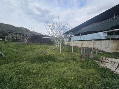 Arsa-Tarla