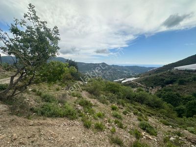 Arsa-Tarla